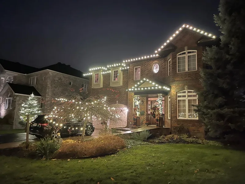 DoublePro® holding back pine needles — Prestige Pro Home Solutions, Delta, BC